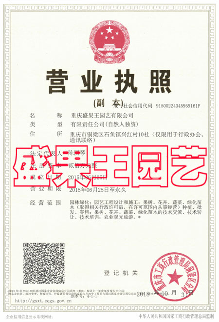 盛果王执照.jpg