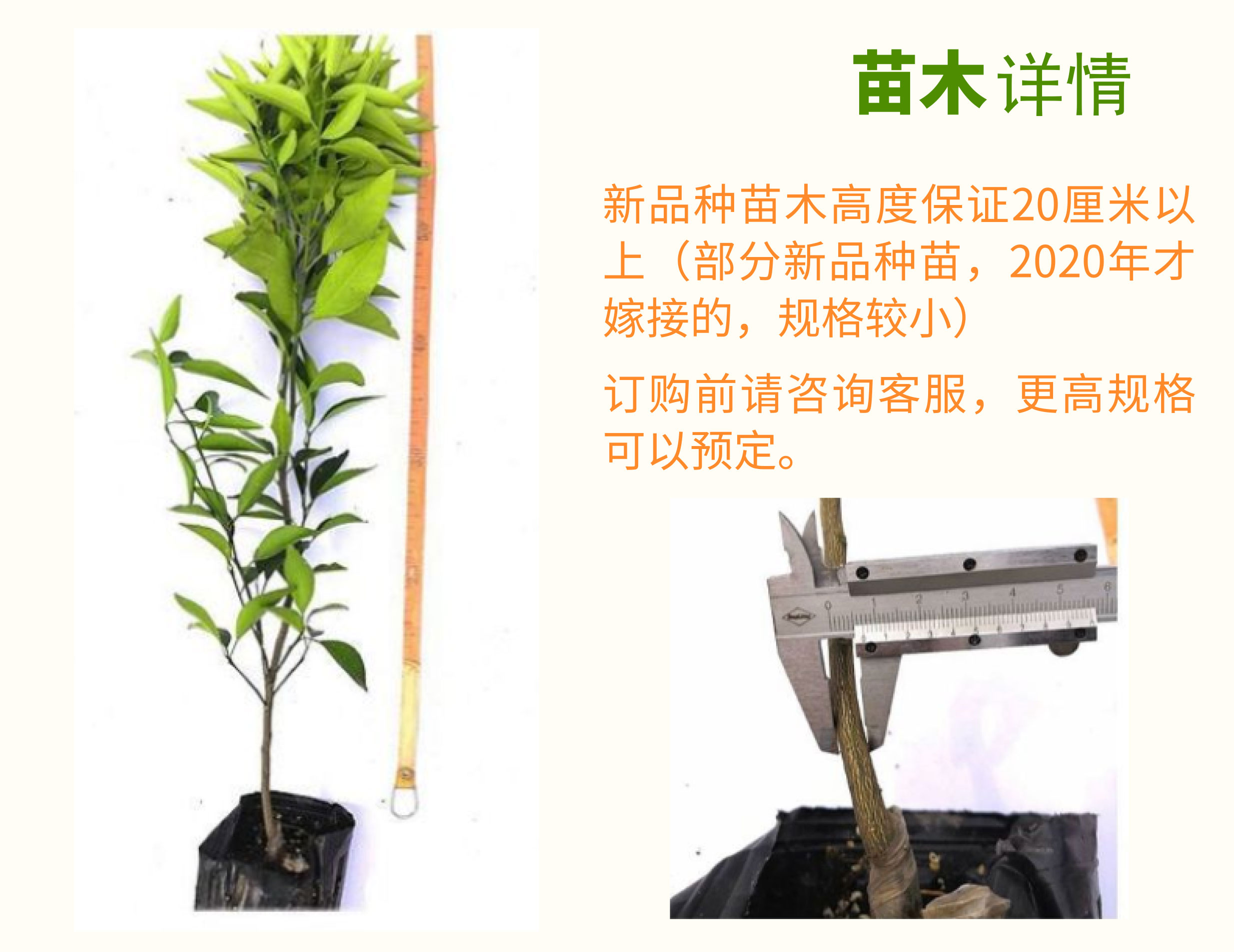 明日行_06.jpg