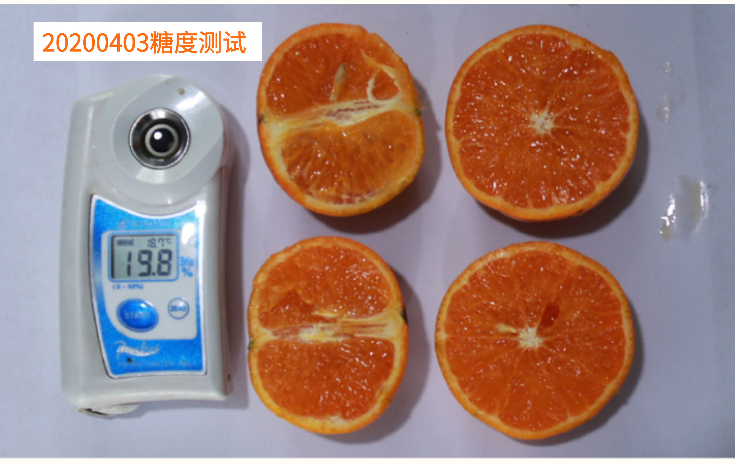 无核沃柑_05.jpg