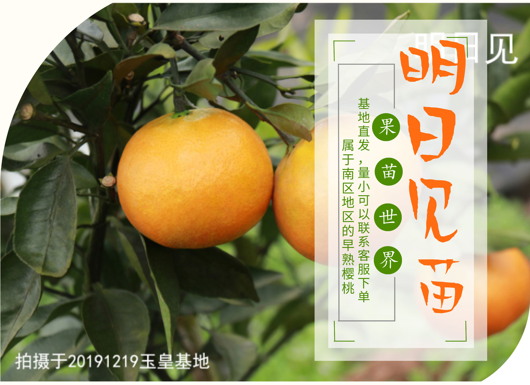 明日见_01.jpg