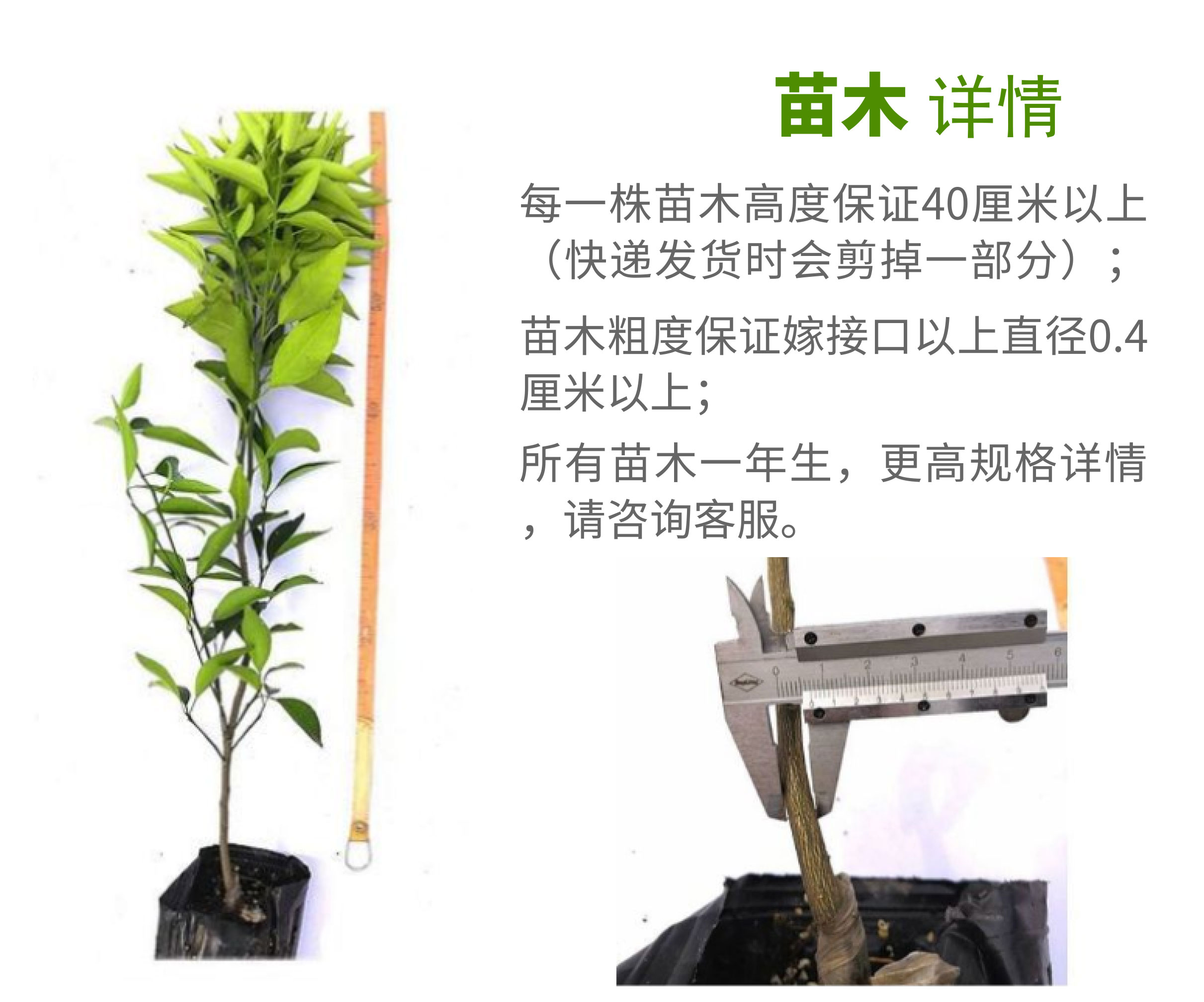 纽荷尔_05.jpg